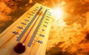 Lee más sobre el artículo 2019 fue el año más caluroso registrado en Europa y el segundo más cálido a nivel mundial