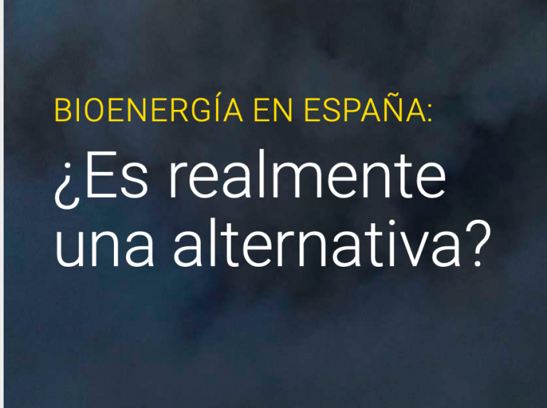 Lee más sobre el artículo Bioenergía en España ¿es realmente una alternativa?