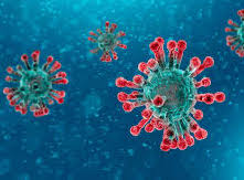 Lee más sobre el artículo Las lecciones que puede dar el coronavirus a la especie humana